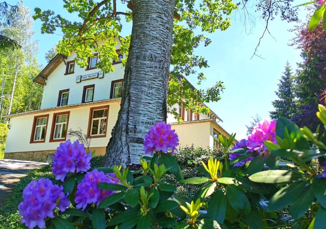 Pension Haus Anna Altenberg  Exteriér fotografie